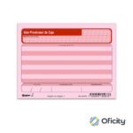 VALE DE CAJA RAYTER 1/4 ROSA 50HJS
