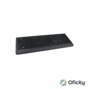 Kit de Teclado y Mouse Lenovo Professional Inalambrico en Español
