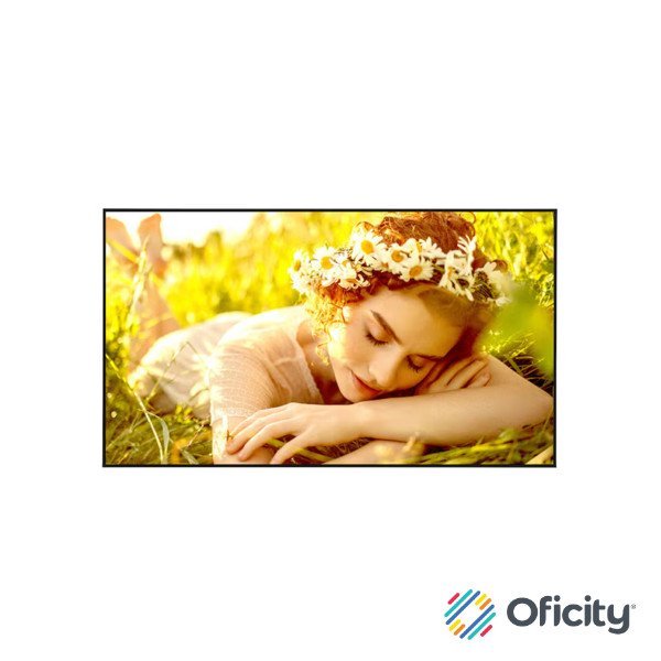 Pantalla LG 65 65UL5Q digital signage 3840 × 2160 UHD 500 nits